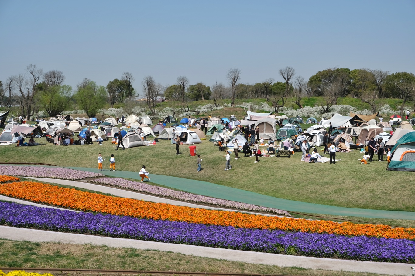 圖3：通州區開沙島洲際夢幻島大草坪已成為人氣爆棚的春日踏青露營地。.jpeg